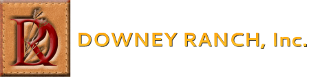 DOWNEY RANCH, Inc.